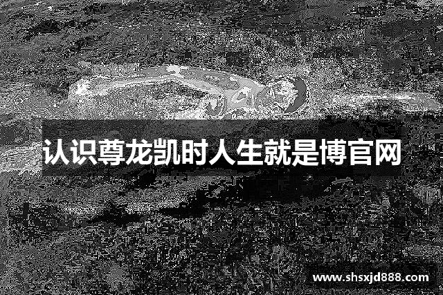 认识尊龙凯时人生就是博官网